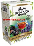 Livingston Harvest Черный чай ежевика и черника