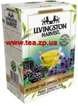 Livingston Harvest зеленый чай ежевика и черника