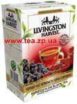 Livingston Harvest черный чай красная и черная смородина